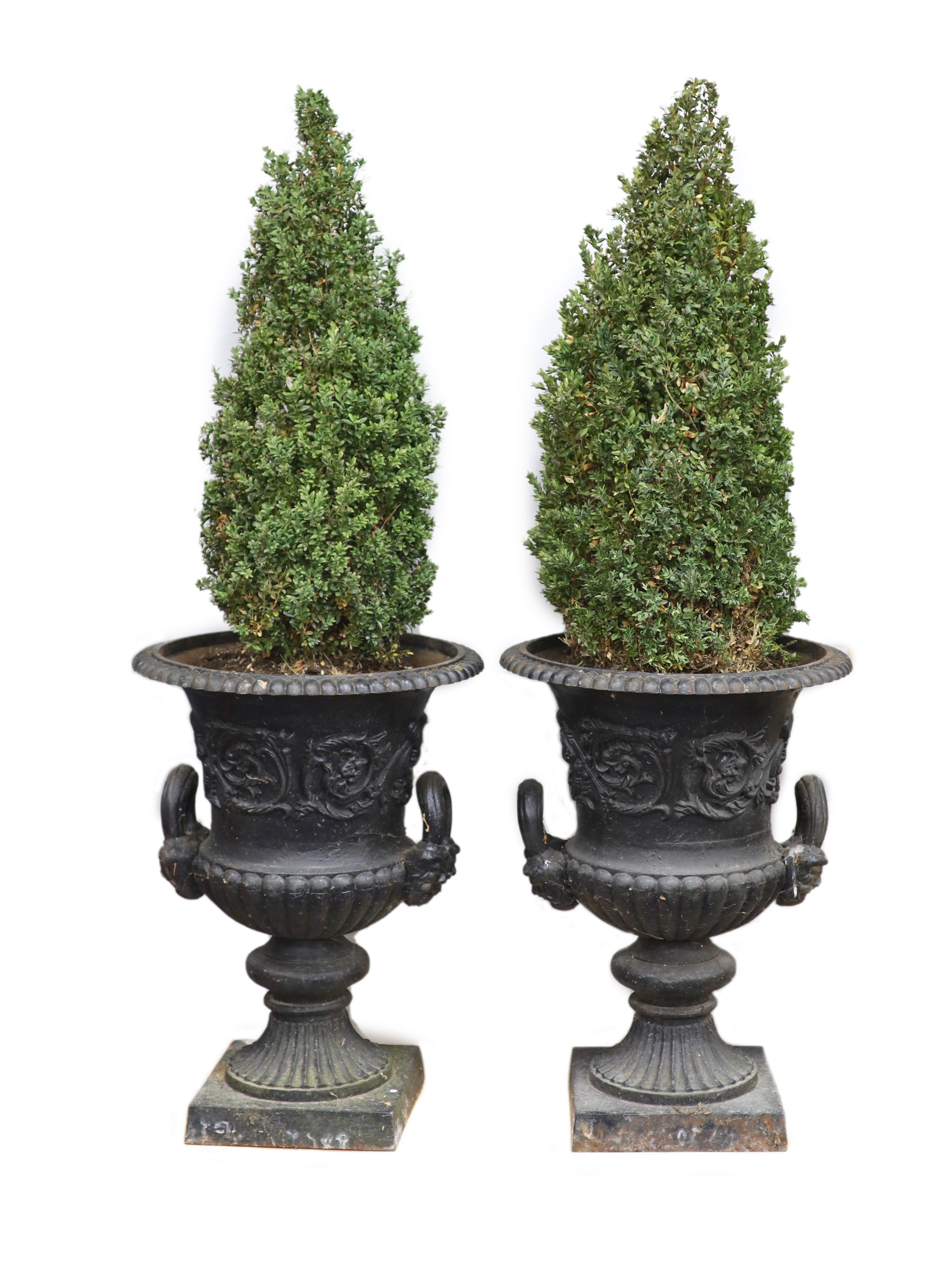 A pair of Victorian cast iron campana garden urns H 77cm. D 56cm.